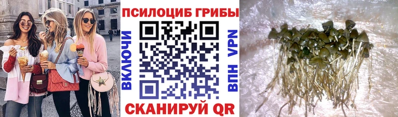наркотики  Кирс  Галлюциногенные грибы MAGIC MUSHROOMS 